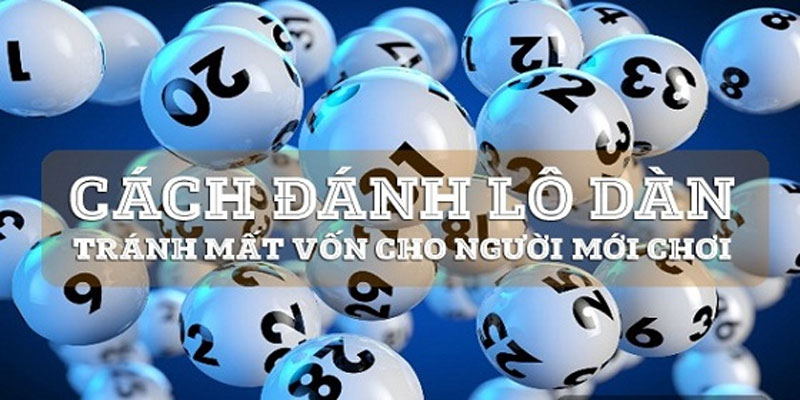 Tại sao lô dàn lại phổ biến