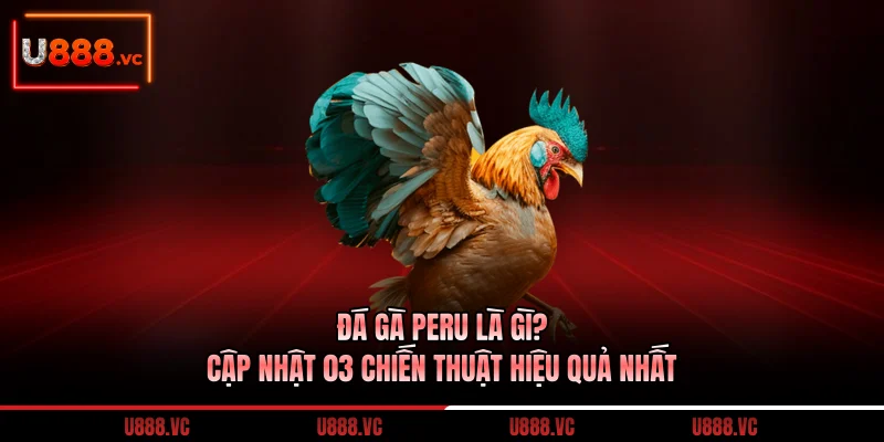 da-ga-peru-la-gi-cap-nhat-03-chien-thuat-hieu-qua-nhat