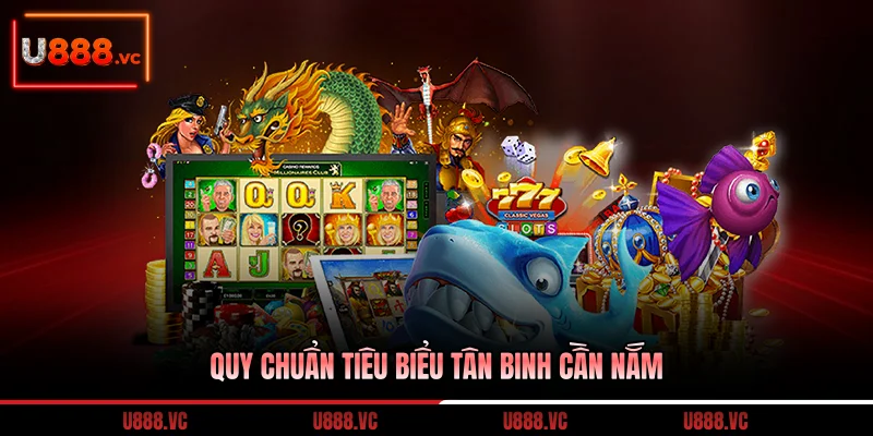 quy-chuan-tieu-bieu-tan-binh-can-nam
